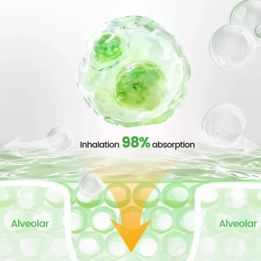 Clinclii® Pulmovia Quercetin Lung Detox Inhaler