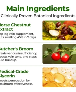 Clinclii® Professional Leg Circulation Cream